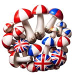 buy magic mushrooms UK