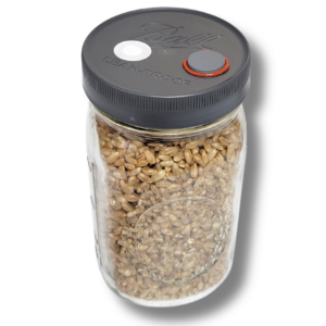 16-1-scaled-1 Quart Rye Grain Jar