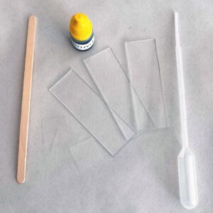 1660126156171-1 Methylene Blue Staining Kit
