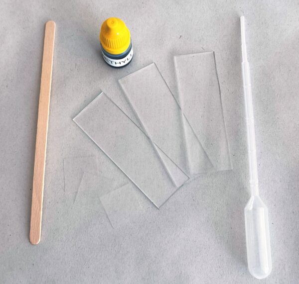 1660126156171-1 Methylene Blue Staining Kit