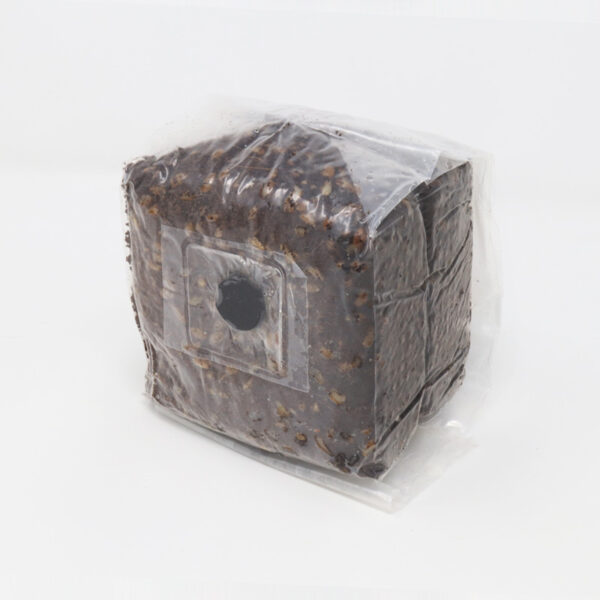 Special MycoBag Grow Kit (XL)