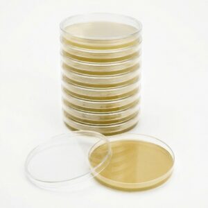 Agar_10_Pack_2026_white_background_web_OG2 Pre-Poured Malt Extract Agar Plates (10-Pack)