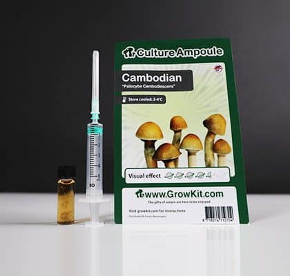 Cambodian Spore Syringe (10ml)