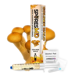 Golden-Halo-Spore-Syringe-10ml Golden Halo Spore Syringe (10ml)