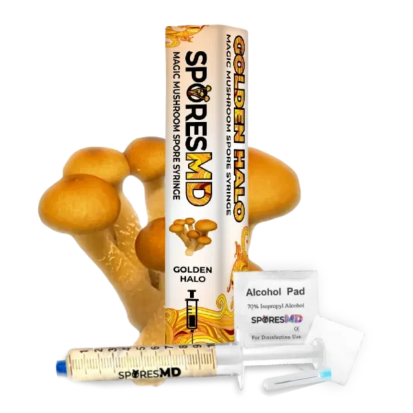 Golden-Halo-Spore-Syringe-10ml Golden Halo Spore Syringe (10ml)
