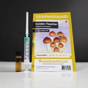 Golden-Teacher-Mushroom-Spore-420x400-1 Golden Teacher Spore Syringe (10ml)