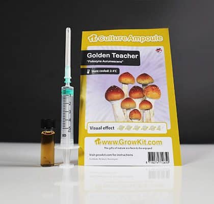 Golden Teacher Spore Syringe (10ml)