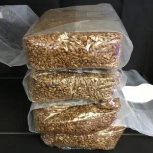 IMG_5579-600x564-1 Rye Grain Bag (1.5kg)