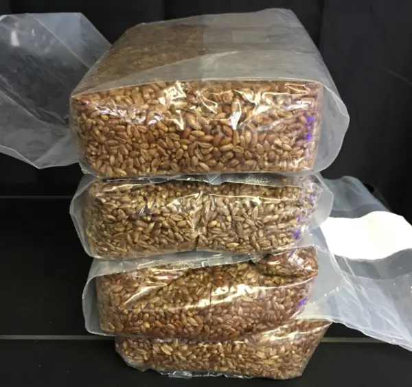 Rye Grain Bag (1.5kg)