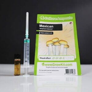 Mexican-Mushroom-Spore-420x400-1 Mexican Spore Syringe (10ml)