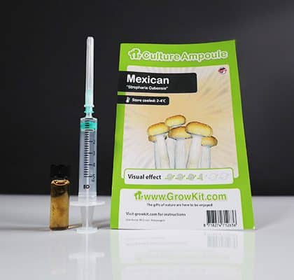 Mexican Spore Syringe (10ml)