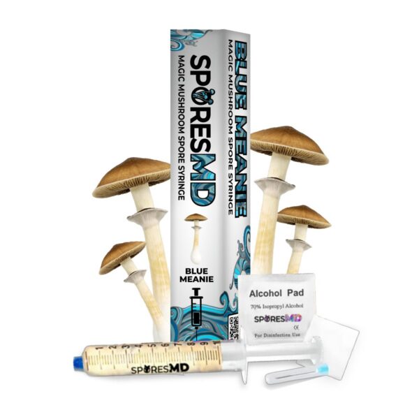 SMD_SPORES_BLUE-MEANIE-MAIN-BOX_2 Blue Meanie Spore Syringe (10ml)