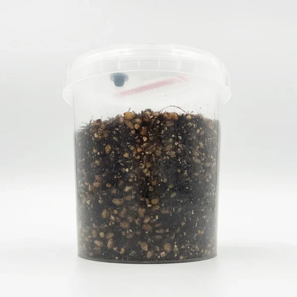 cylo-tub-600x600-1 EZPZ Grow Kit