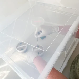 inoculation-inside-sab Still-Air Box (Standard)