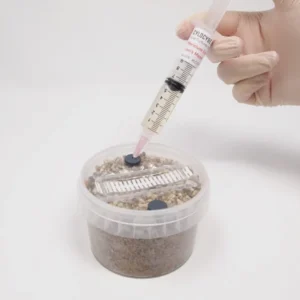 mycopot-inoculation-600x600-1 DIY PF-Tek Grow Kit (XXL)