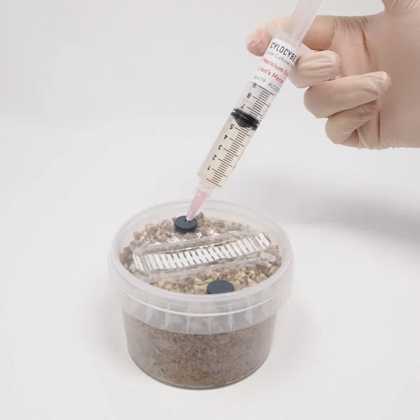 mycopot-inoculation-600x600-1 DIY PF-Tek Grow Kit (XXL)