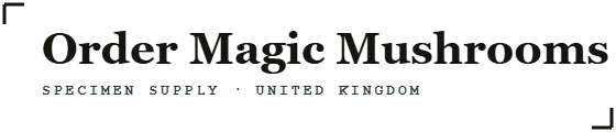 Order Magic Mushrooms