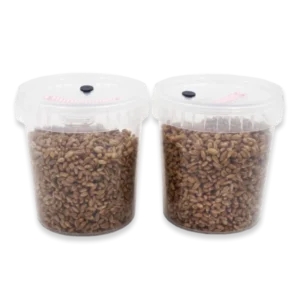 two-spawntubs-600x600-1 Rye Grain SpawnTub (870ml)